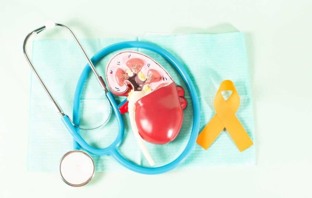 Kidney Care Program – Personalized Nutrition for Creatinine Control & Long-Term Kidney Health